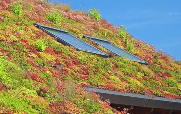 Cromarty living roof systems