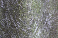 Cromarty fibreglass roof work